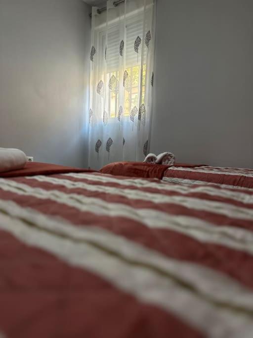 Apartamento Turistico O.N Renfe Cordoba Dış mekan fotoğraf